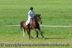 Concours 2008