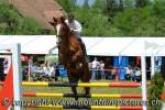 Concours 2008