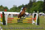 Concours 2009