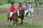Concours 2010