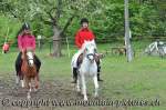 Concours 2010