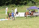 Concours 2021