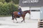Patrouillenritt 2014