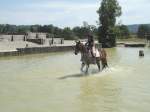 Avenches