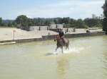 Avenches