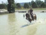 Avenches