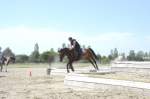 Avenches 2017