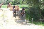 Avenches 2017
