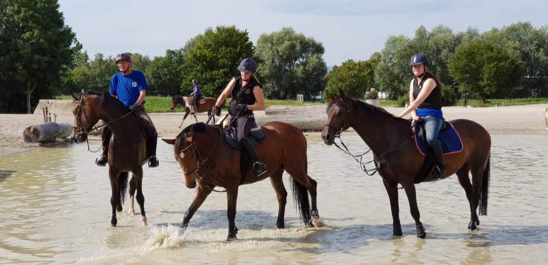 Avenches 2018