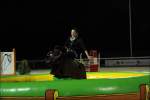 Bullriding