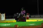 Bullriding