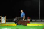 Bullriding