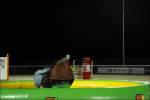 Bullriding