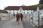 Vereinsreise Gestüt Einsiedeln 2014