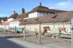 Vereinsreise Gestüt Einsiedeln 2014