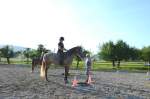 Gymkhana-Kurs 2014