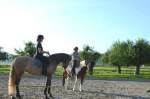 Gymkhana-Kurs 2014