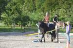 Gymkhana-Kurs 2014