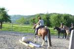 Gymkhana-Kurs 2014