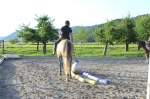 Gymkhana-Kurs 2014
