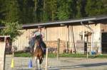 Gymkhana-Kurs 2014