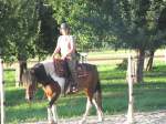 Gymkhana-Kurs 