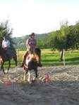 Gymkhana-Kurs 