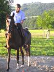 Gymkhana-Kurs 