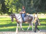 Gymkhana-Kurs 