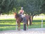 Gymkhana-Kurs 