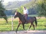 Gymkhana-Kurs 