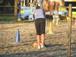 Gymkhana-Kurs 