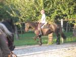Gymkhana-Kurs 