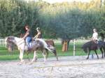 Gymkhana-Kurs 