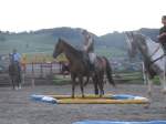 Gymkhana-Kurs 