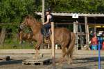 Gymkhana-Kurs 2016