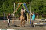 Gymkhana-Kurs 2016