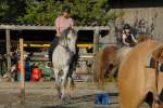 Gymkhana-Kurs 2016