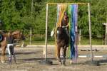 Gymkhana-Kurs 2016