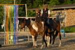Gymkhana-Kurs 2016