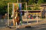 Gymkhana-Kurs 2016