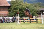 Schlussspringen 2017