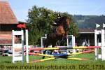 Schlussspringen 2022