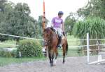 Springkurs 2012