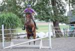 Springkurs 2012