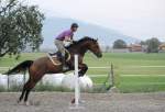 Springkurs 2012