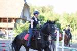 Springkurs 2019