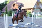Springkurs 2019