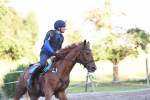 Springkurs 2019