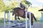 Springkurs 2019